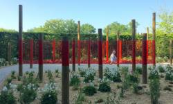 DAVID BONNARD - HYTT Architecture